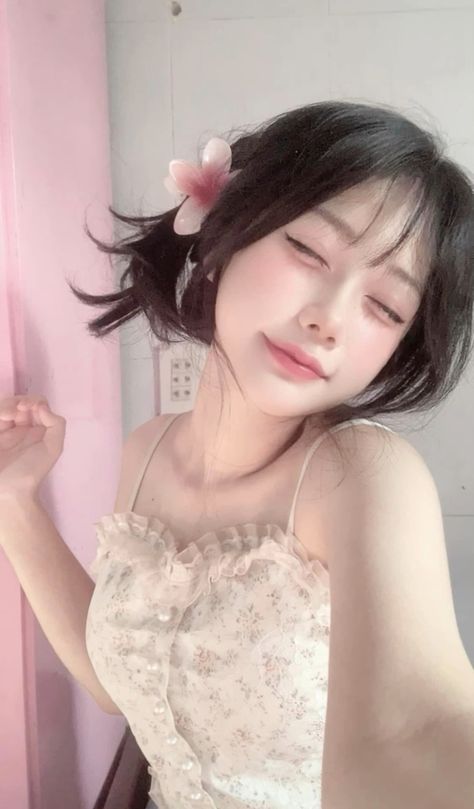 密西西比河的美丽传说